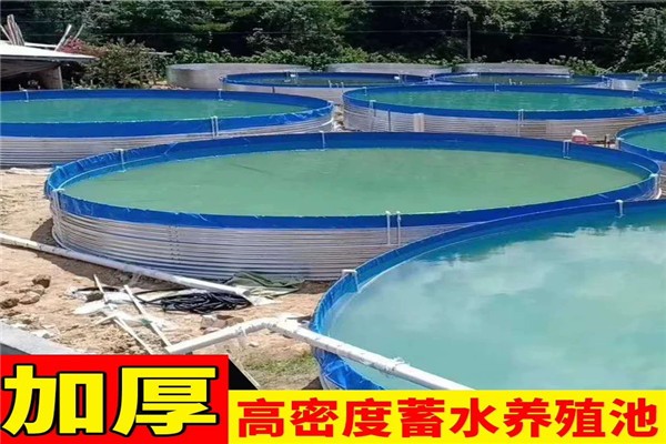 浙江魚業帆布泳池工廠24小時在線